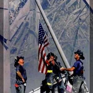 Meet your Posher, Robyn